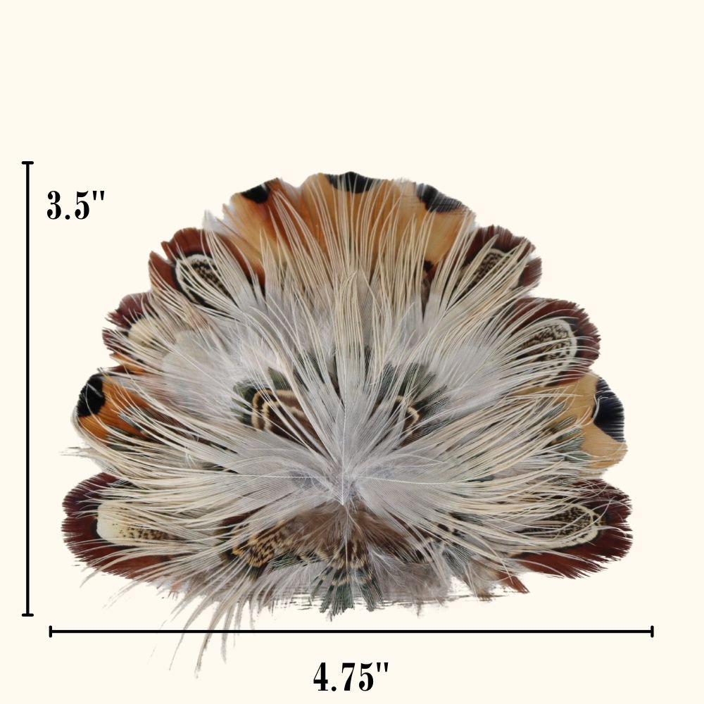 Feather Crest Whitlow