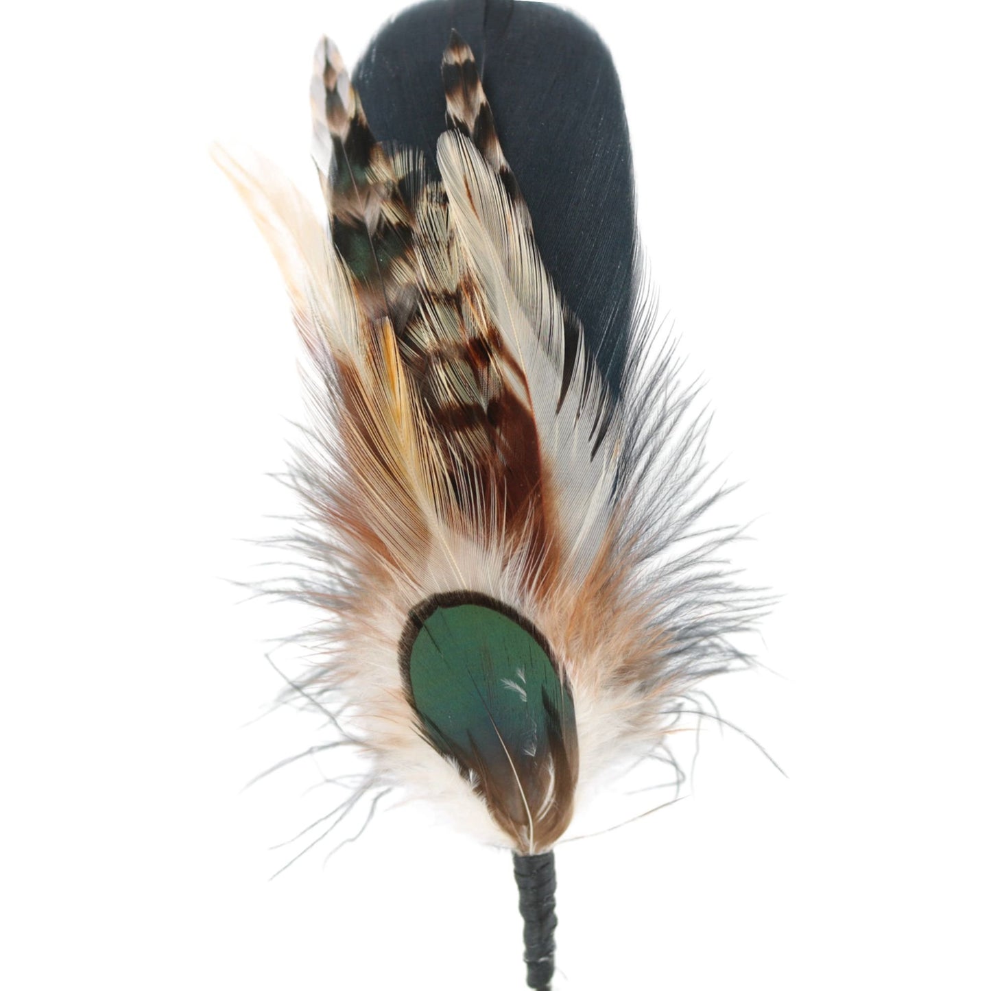 Accent de chapeau de plumes - Kaweah