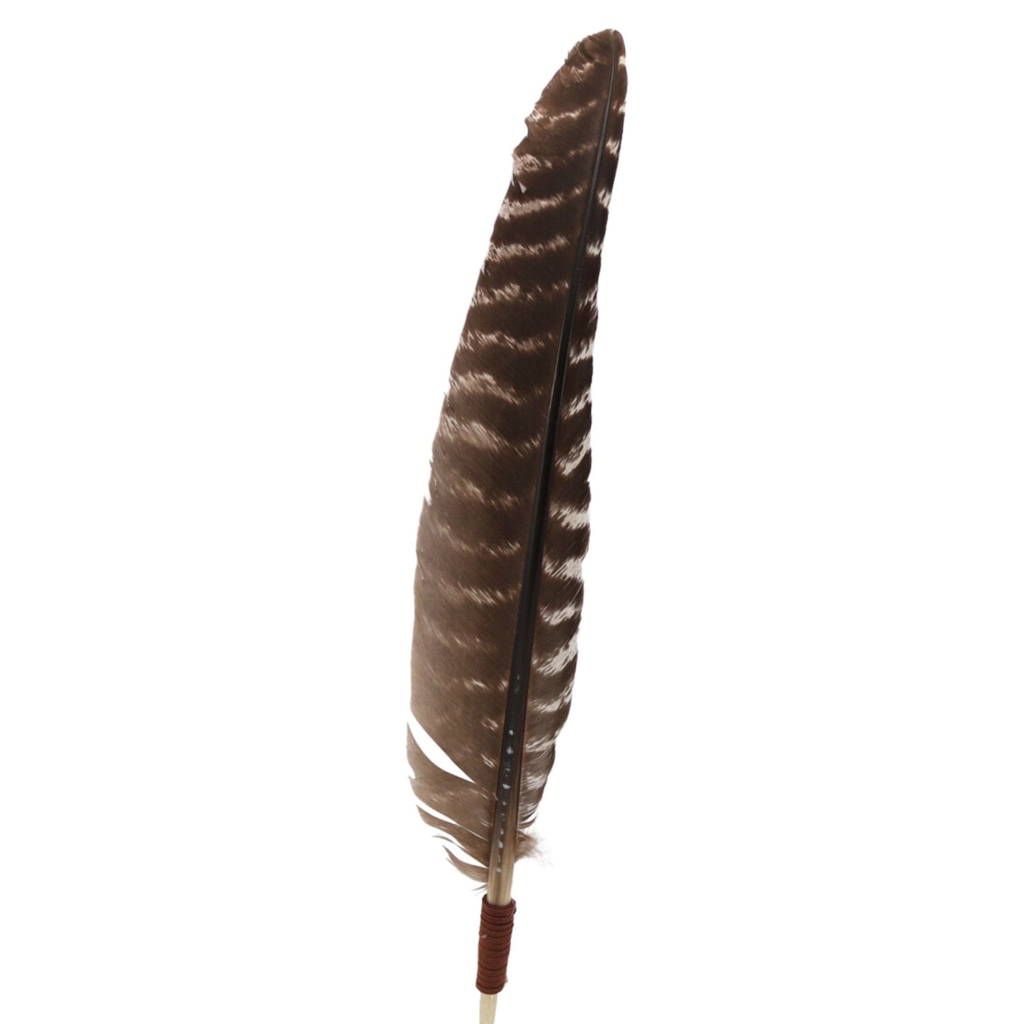 Large Hat Turkey Feather - Goliad