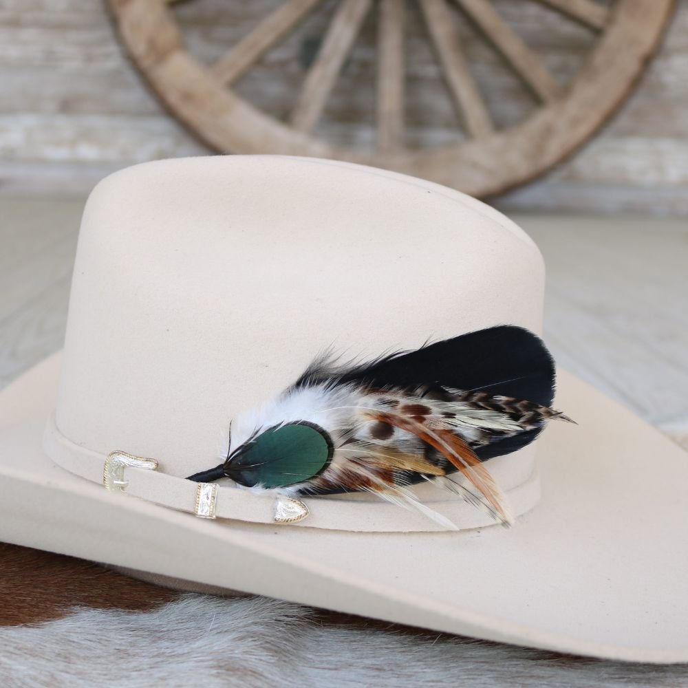 Acento de sombrero de plumas - Kaweah