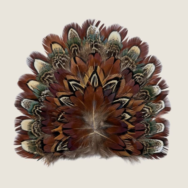 Feather Crest Rowan
