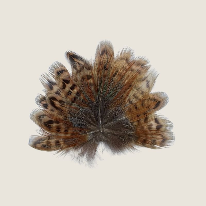 Feather Crest Moab