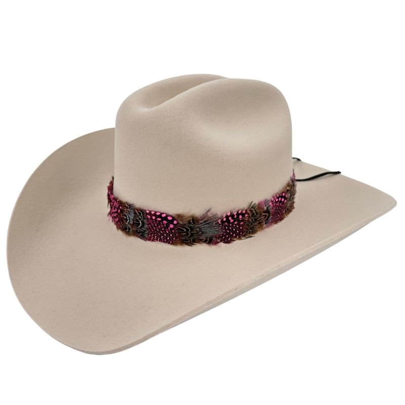 Feather Hat Band - Fancy