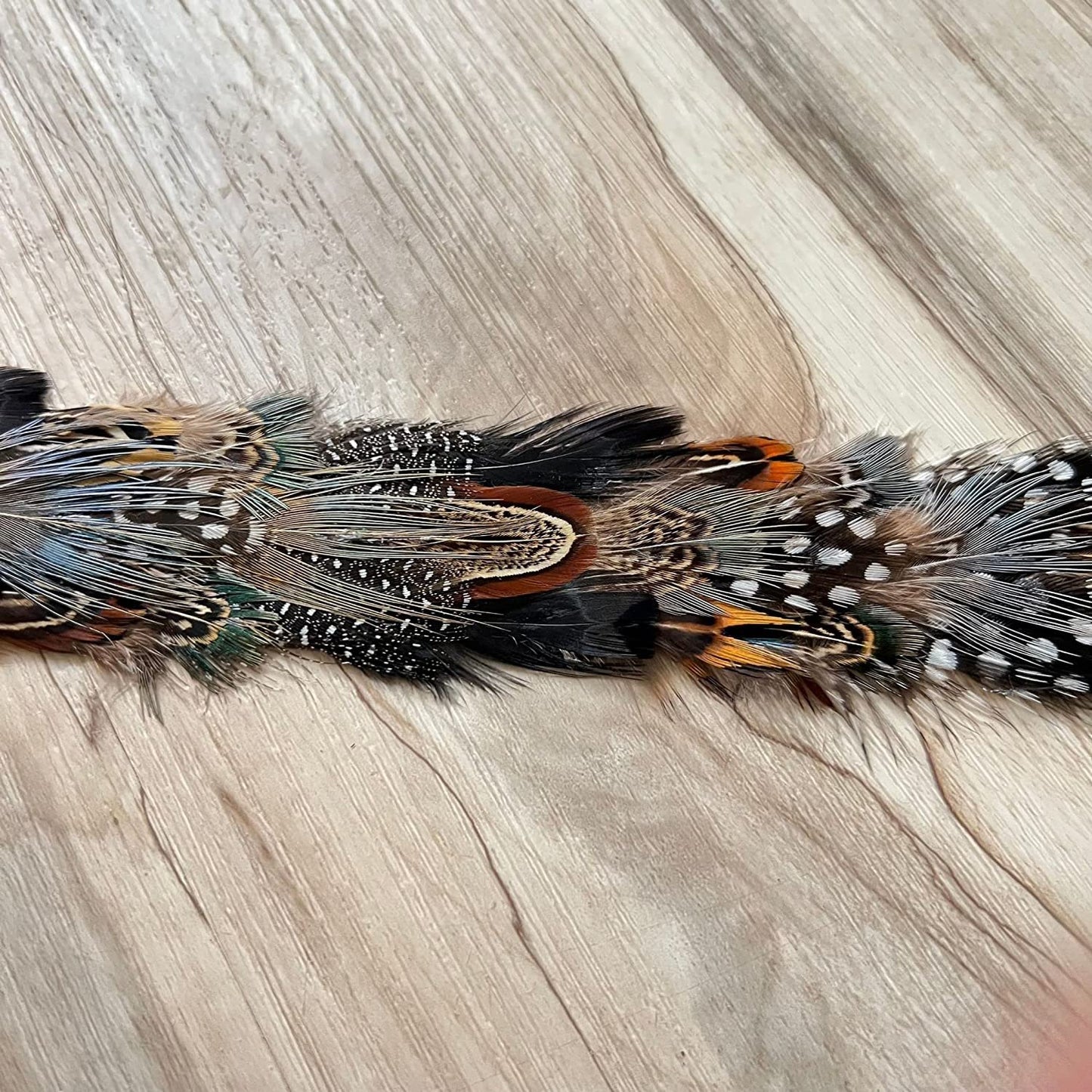 Banda para sombrero de plumas occidentales - Halcón