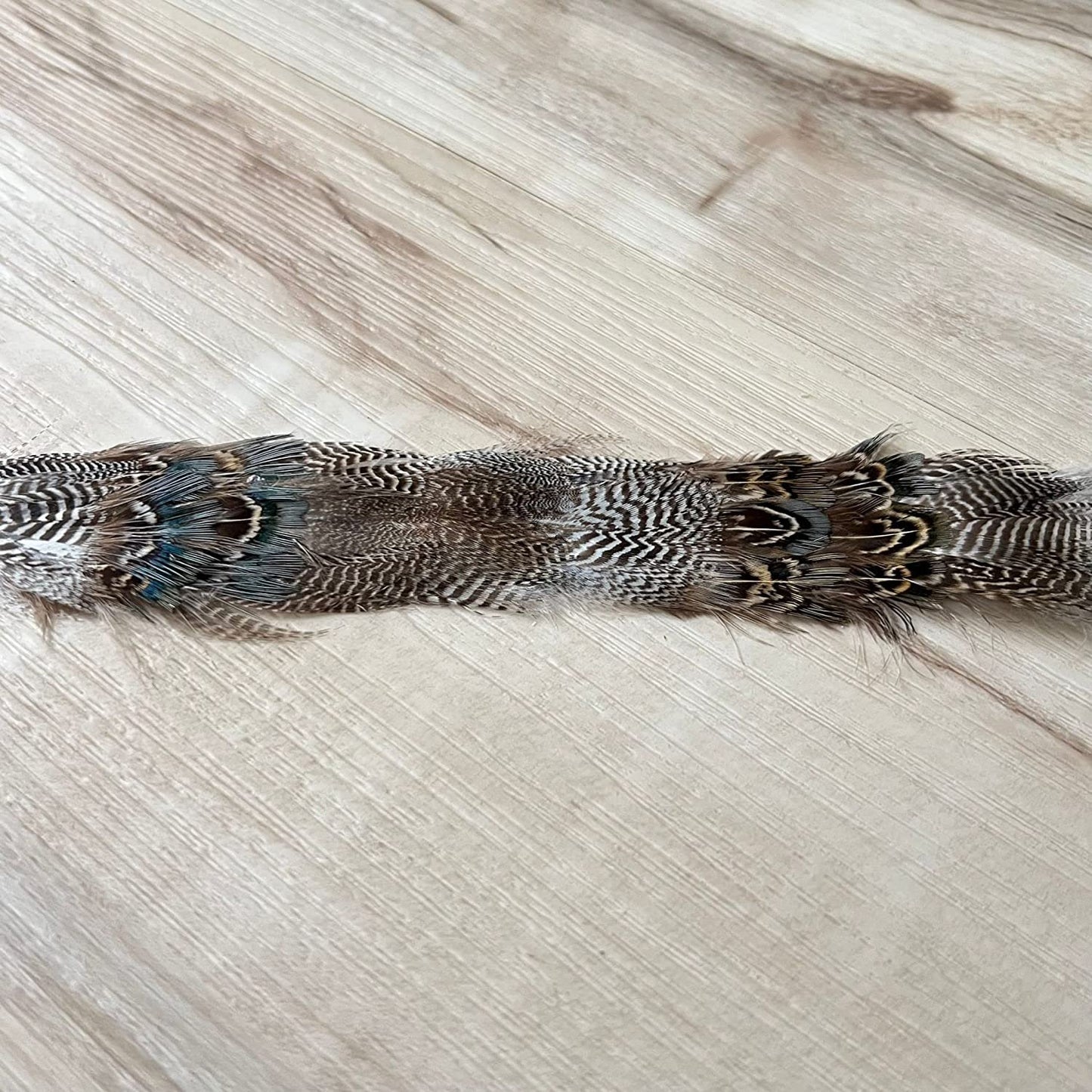 Feather Hat Band - Arikara