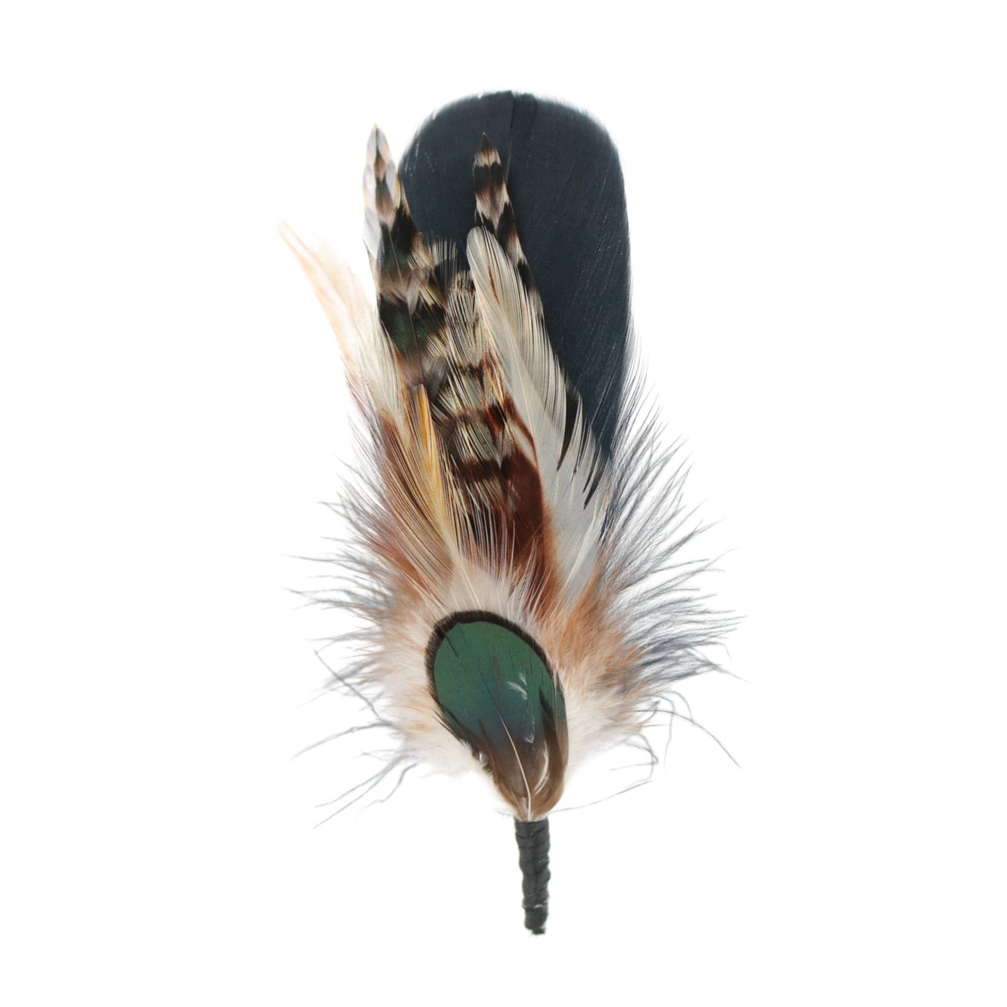 Acento de sombrero de plumas - Kaweah