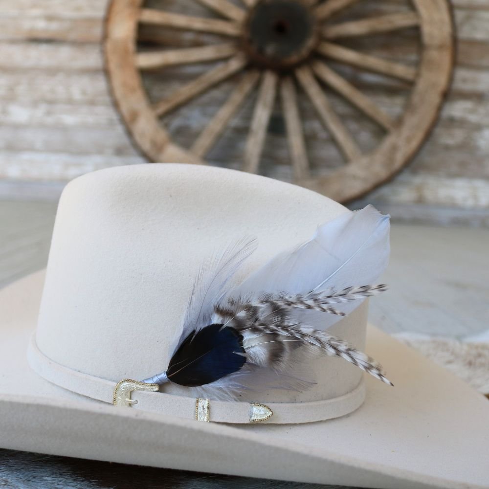 a hat with feathers on it