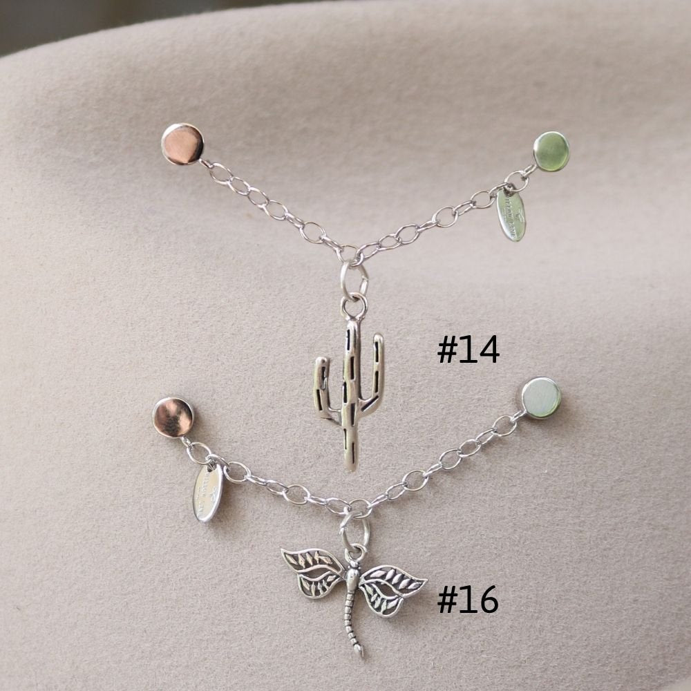 Charm Chain + 1 Charm