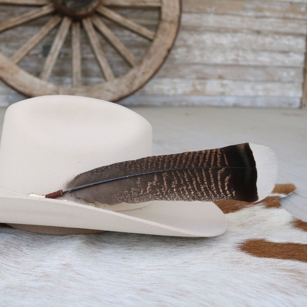 Turkey Feather Accent - The Chaco