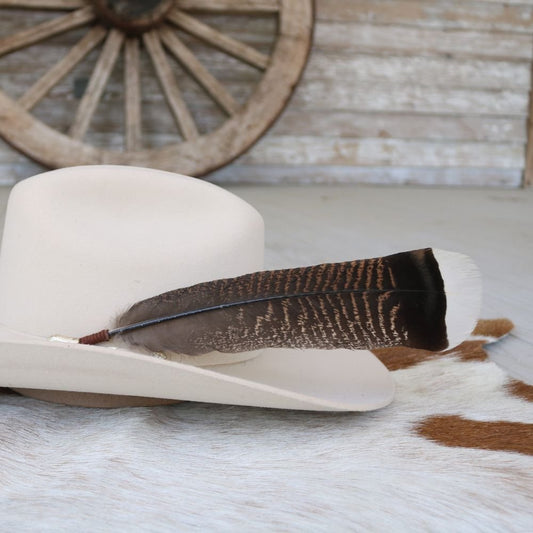 Turkey Feather Accent - The Chaco