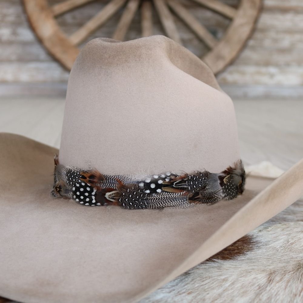 a hat with feathers on it