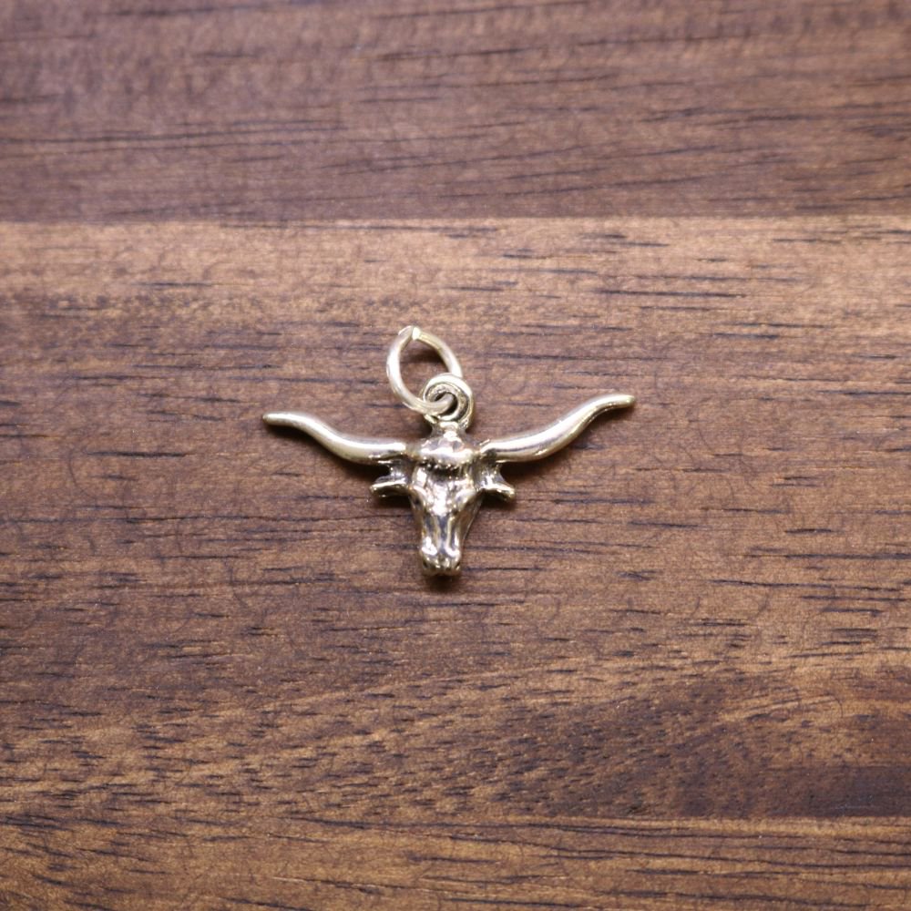 a silver bull head pendant on a wood surface