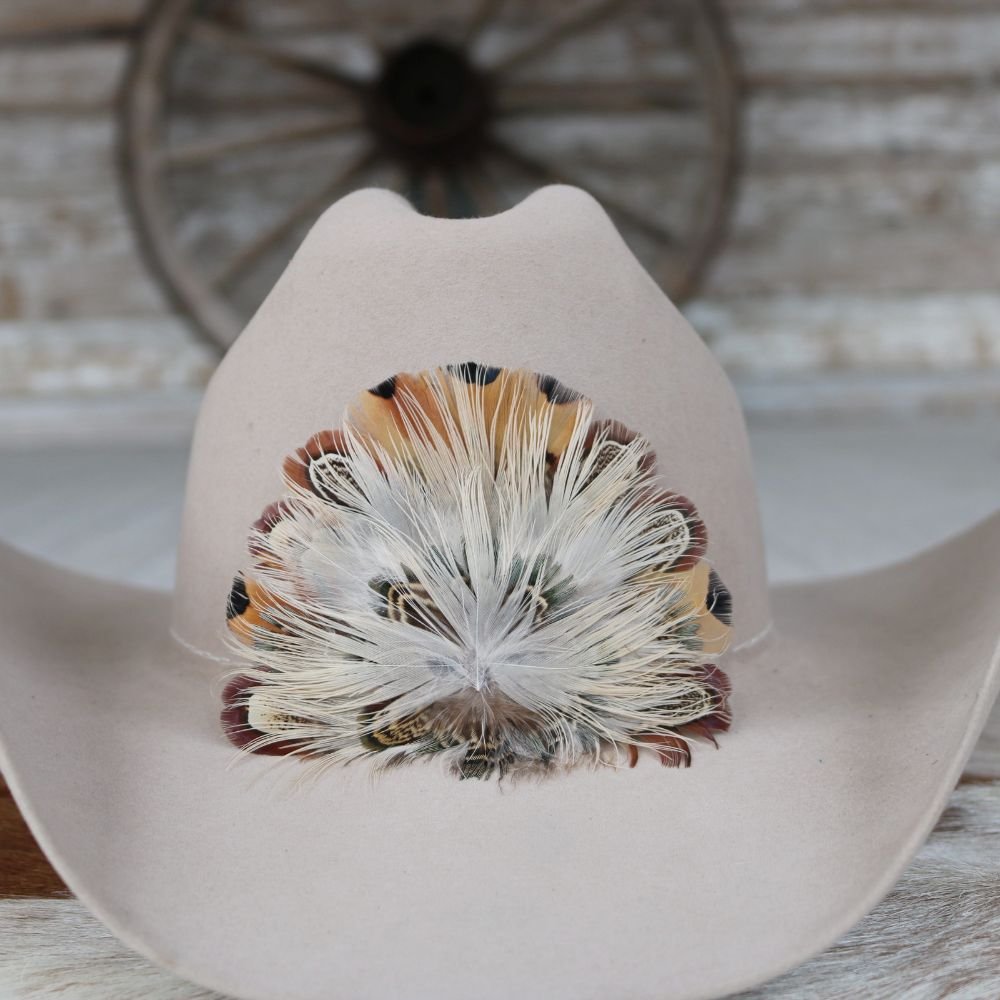 Feather Crest Whitlow