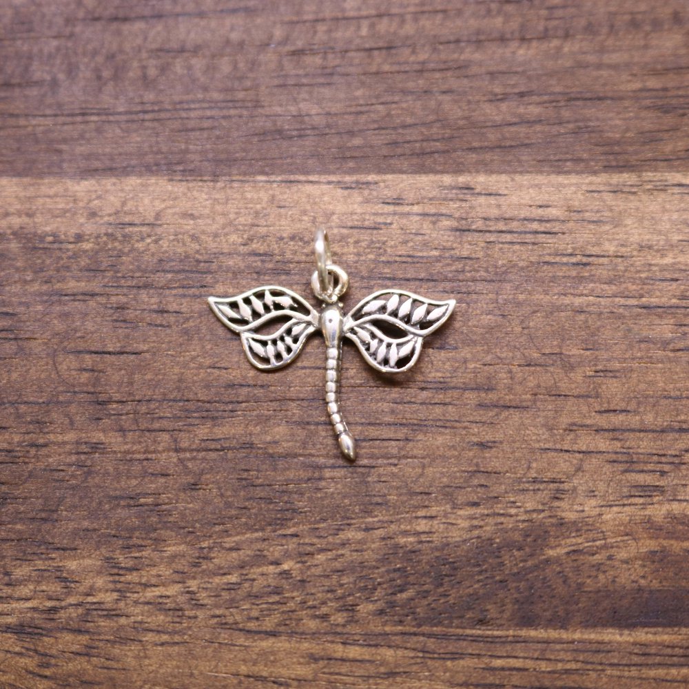 a dragonfly pendant on a wood surface