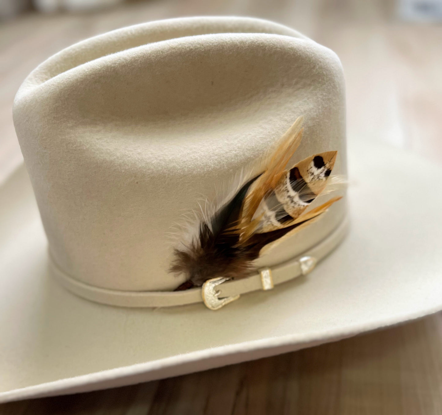 Feather Hat Accent - Katniss