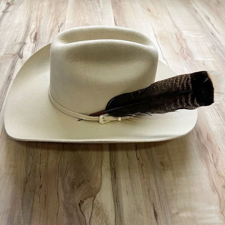 Turkey Feather Accent - The Chaco