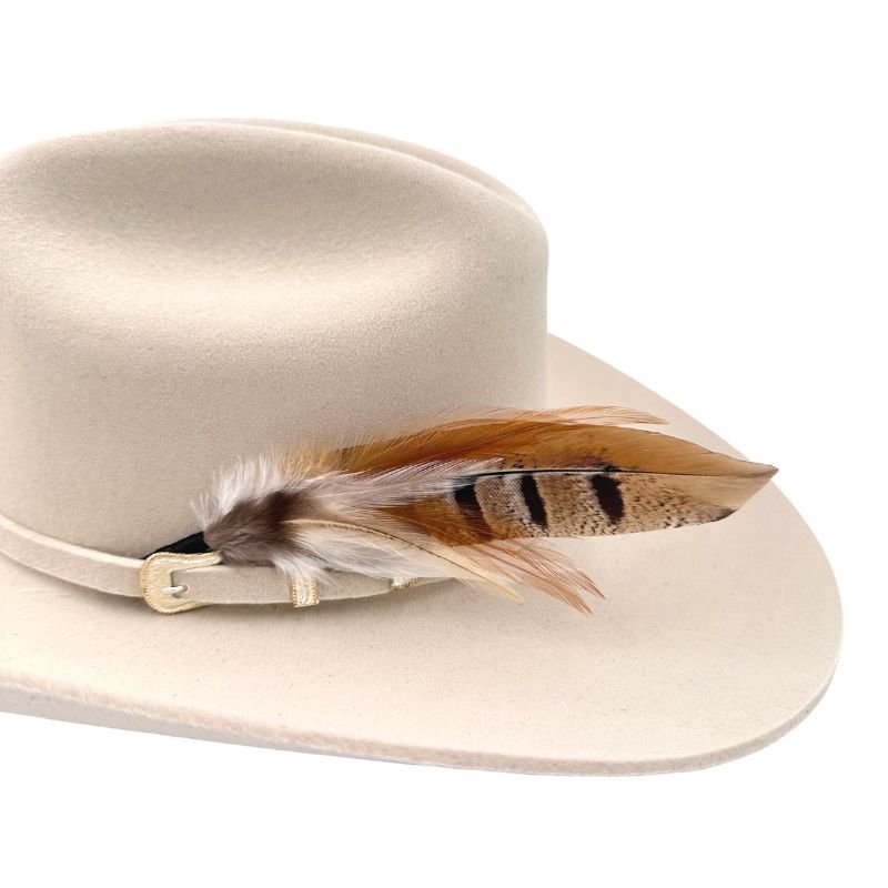 Feather Hat Accent - Phoenix