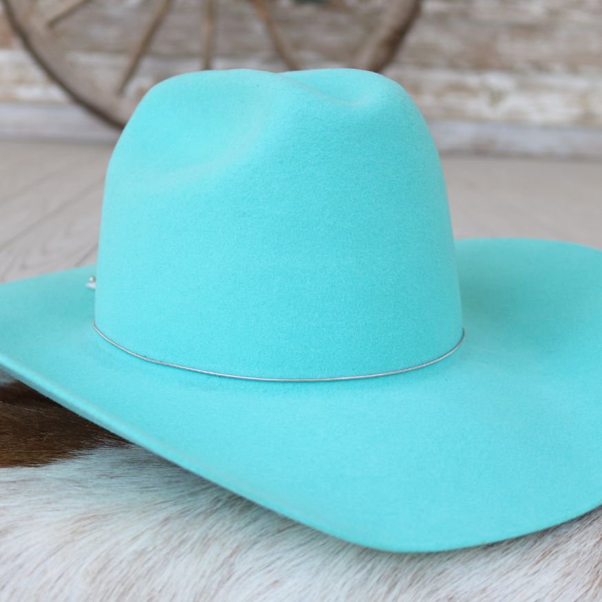 Silver Snake Chain Hat Band