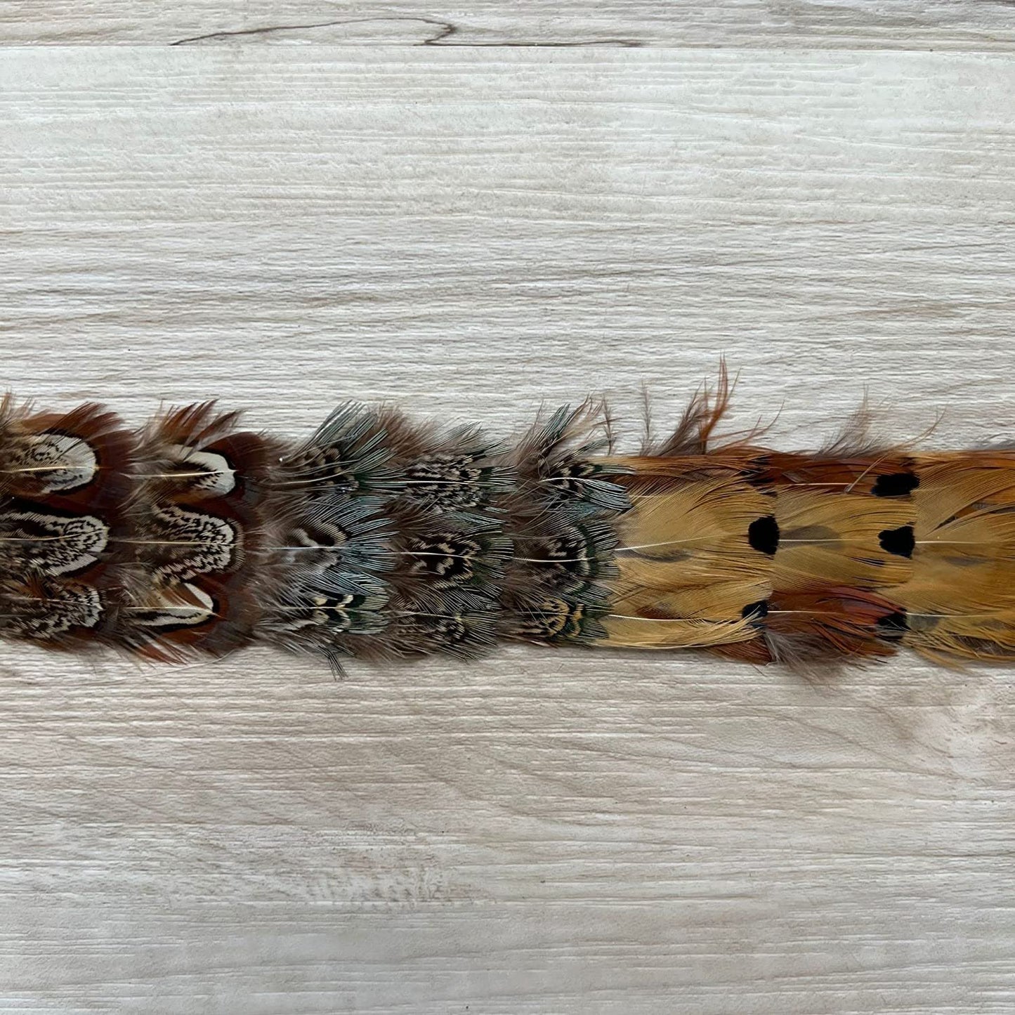 Feather Hat Band - Shikoba II