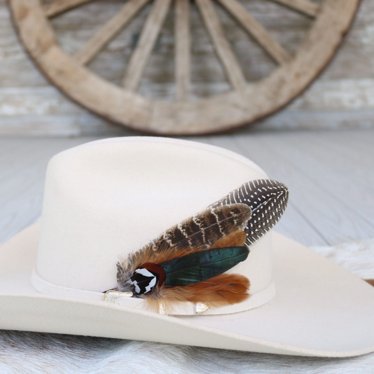 Feather Hat Accent - Terlingua