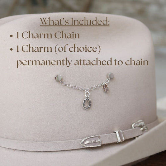 Charm Chain + 1 Charm