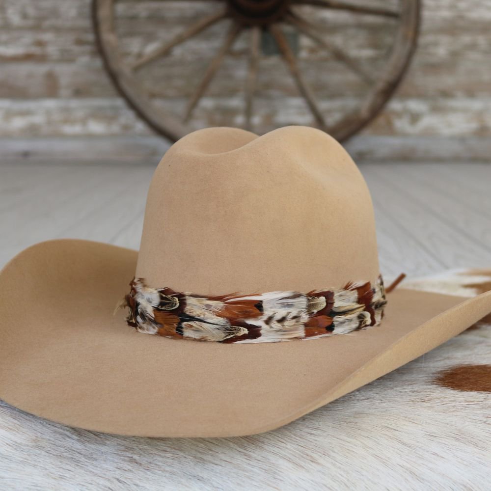 a brown hat with feathers on it