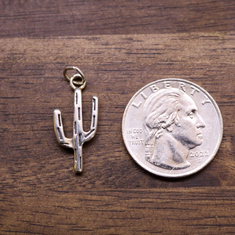 a coin and a silver cactus