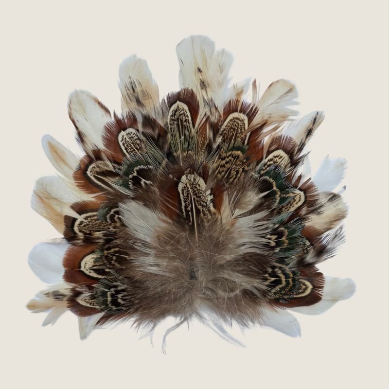 Feather Crest Avalon