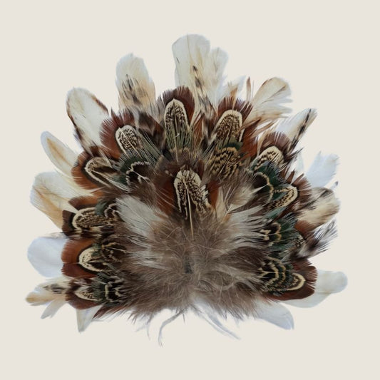 Feather Crest Avalon