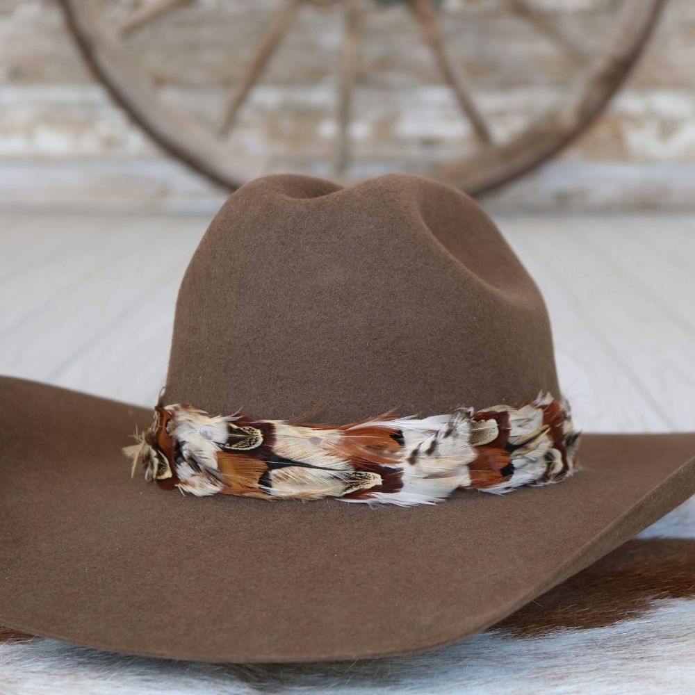 a brown hat with feathers on it