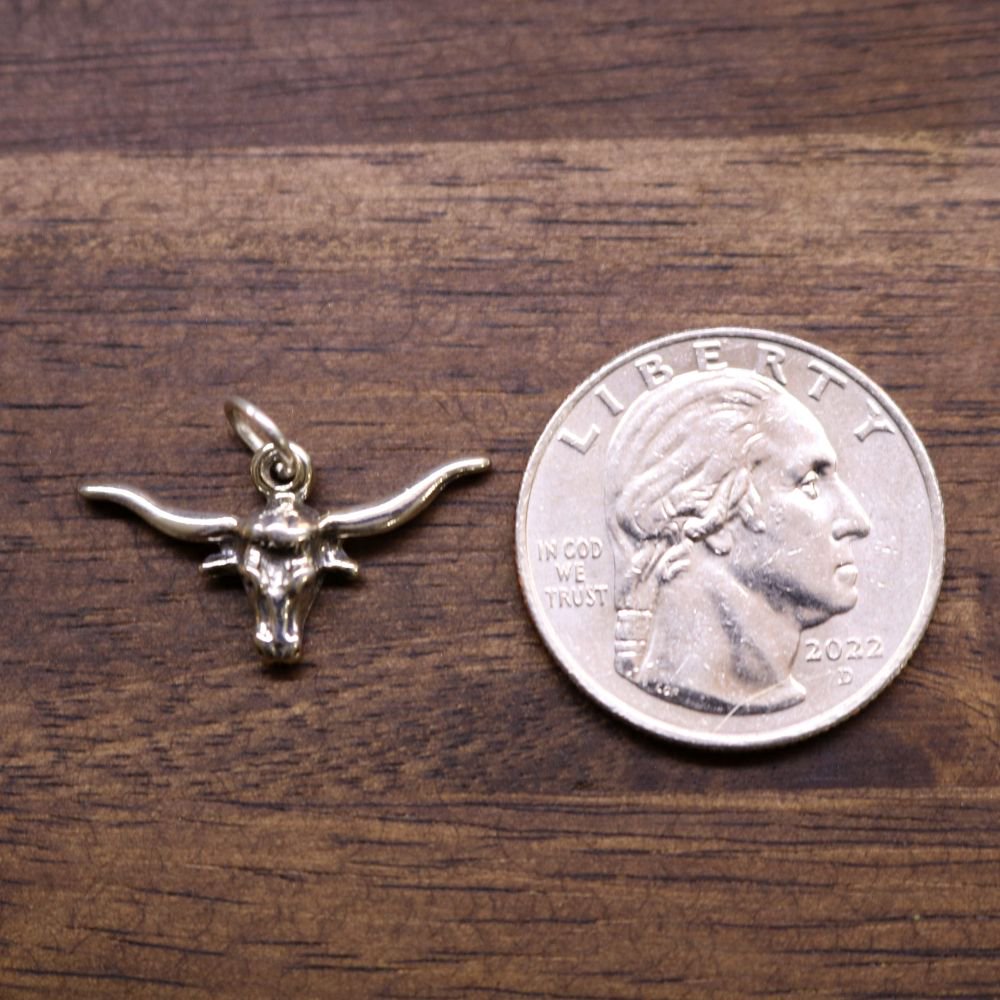 a silver bull head pendant next to a coin