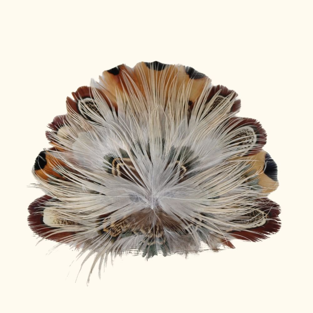 Feather Crest Whitlow