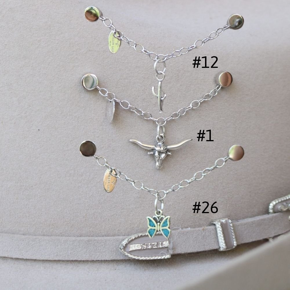 Charm Chain + 1 Charm