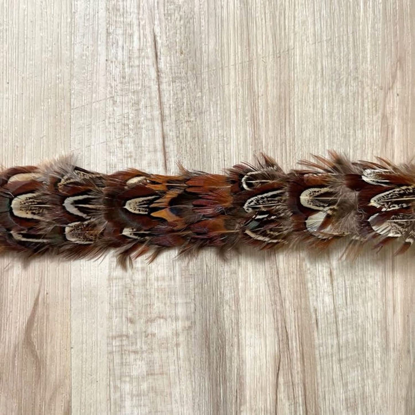 Feather Hat Band - Starling