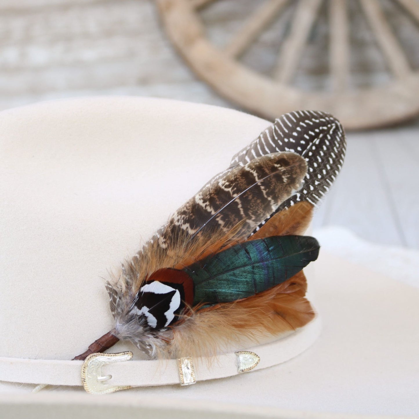 Feather Hat Accent - Terlingua