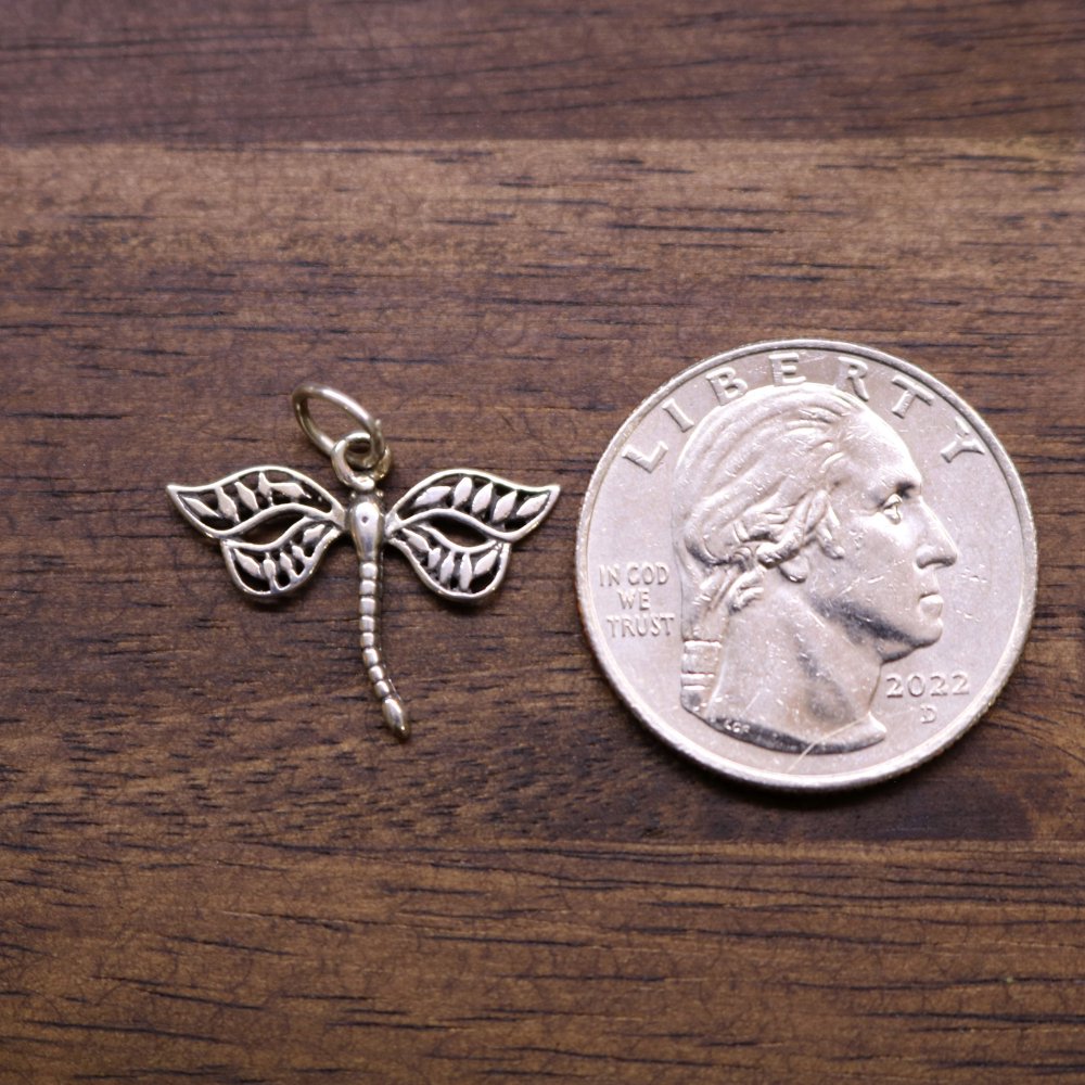 a silver dragonfly pendant next to a coin