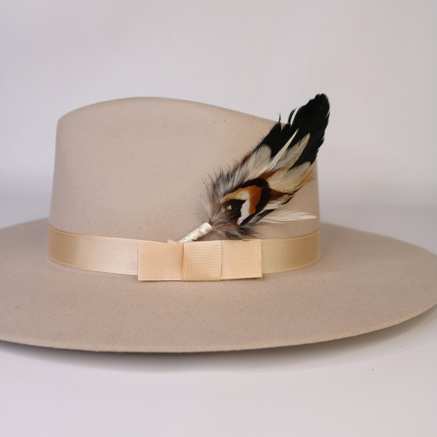 Feather Hat Accent - Ringtail